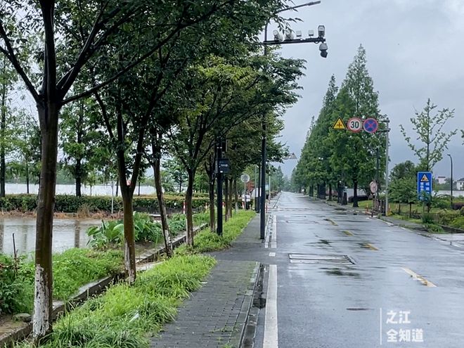 下饭又下酒！双浦这家土菜偏是偏了点好吃是真好吃……
