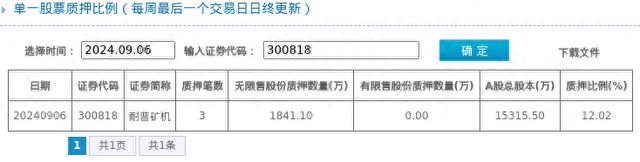 耐普矿机股东质押占比1202%质押市值约389亿元