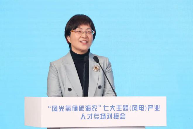 盐城市“风光氢储碳海农”七大主题（风电）产业人才专场对接会在射阳举行(图2)