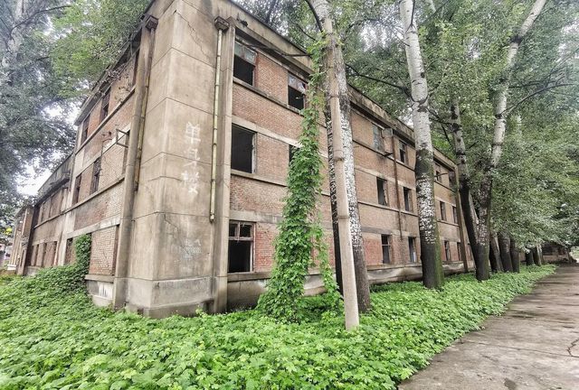洛阳悲催的工业遗址昔日辉煌繁荣堪比城镇如今没落十房九空(图3)