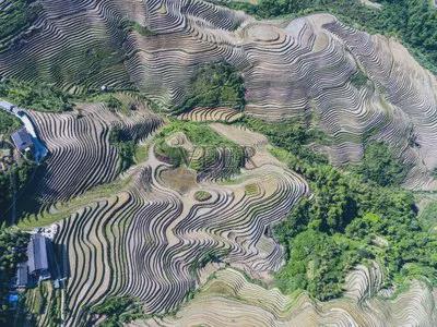 中美印耕地面积对比：美国25亿亩印度24亿亩中国是多少亩呢(图3)