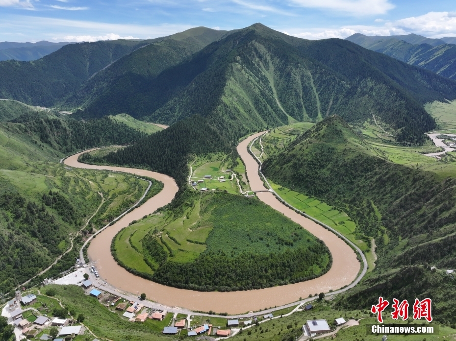 【植树节特刊】“植”此青绿让“绿色能量”在大地蔓延