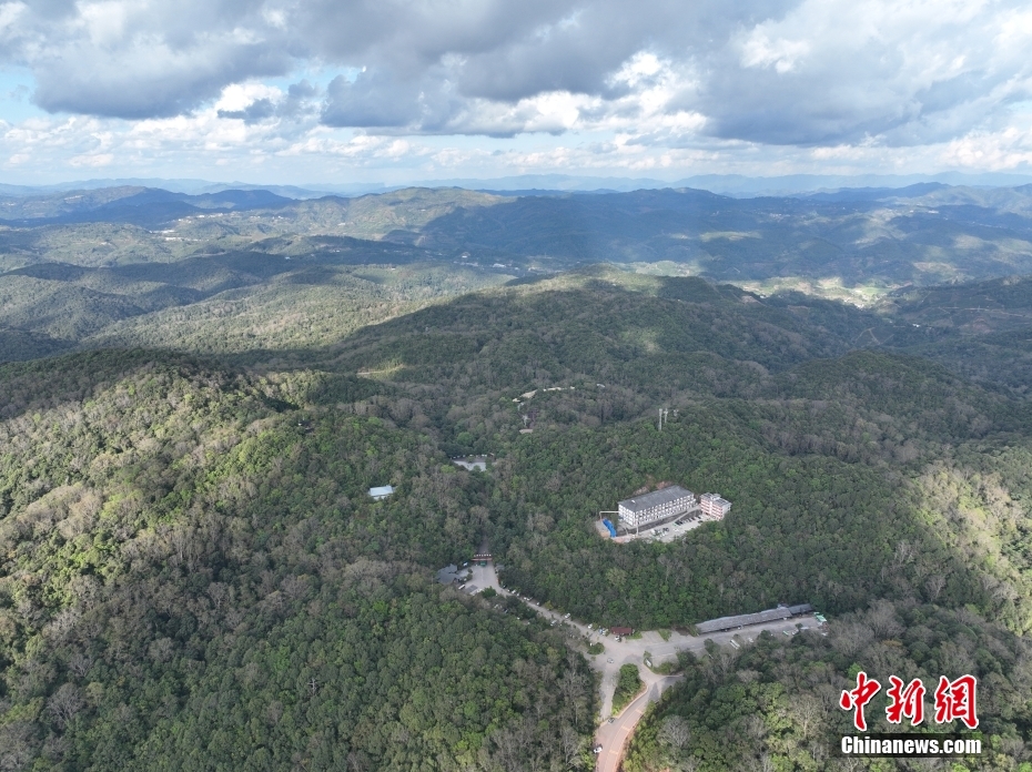 【植树节特刊】“植”此青绿让“绿色能量”在大地蔓延(图6)