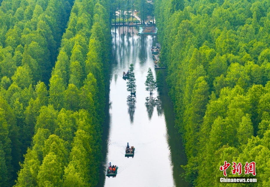 【植树节特刊】“植”此青绿让“绿色能量”在大地蔓延(图15)