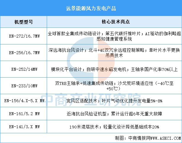 2025年中国风力发电行业市场前景预测研究报告(图11)