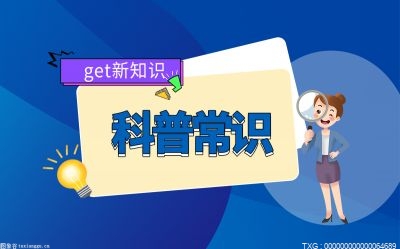风力发电原理（什么是风力发电）