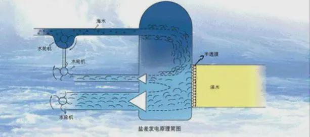这些海洋环保能源你知道几个？(图5)