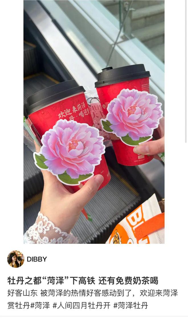 菏泽牡丹已成“富民之花”：种植规模与产业创新在全国独树一帜(图8)