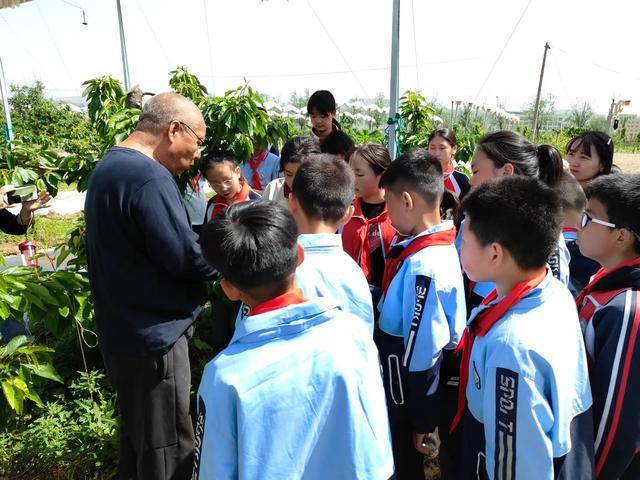 灞桥区东李小学开展农业科普实践活动(图7)