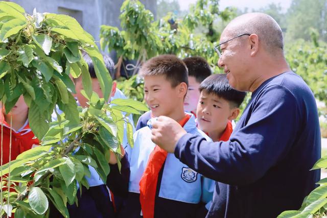 灞桥区东李小学开展农业科普实践活动(图5)