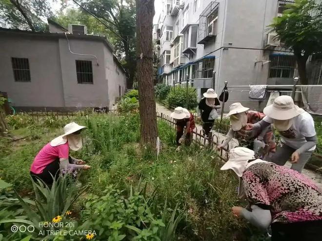 暑期儿童关爱︱东直门街道暑期活动精彩纷呈这个夏天“暑”你最美！(图7)