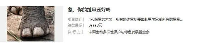 哈佛中国女孩蒋雨融被扒出是绿发会高管千金本人发文难平舆论(图3)