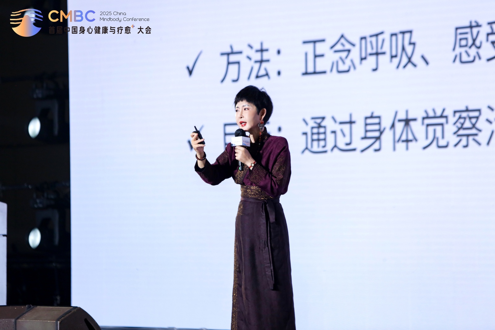 2025首届中国身心健康与疗愈⁺大会为行业破局增长注入新力量！(图6)