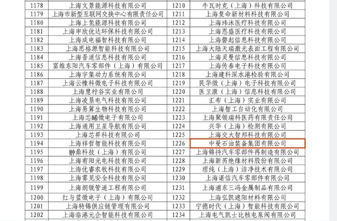 装备集团顺利通过2025年上海市专精特新中小企业复审(图3)