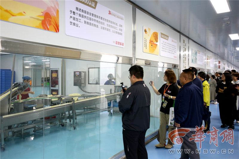 “追梦中华·赓续华夏文脉”宝鸡在文明根脉与产业腾飞中书写时代新篇(图6)