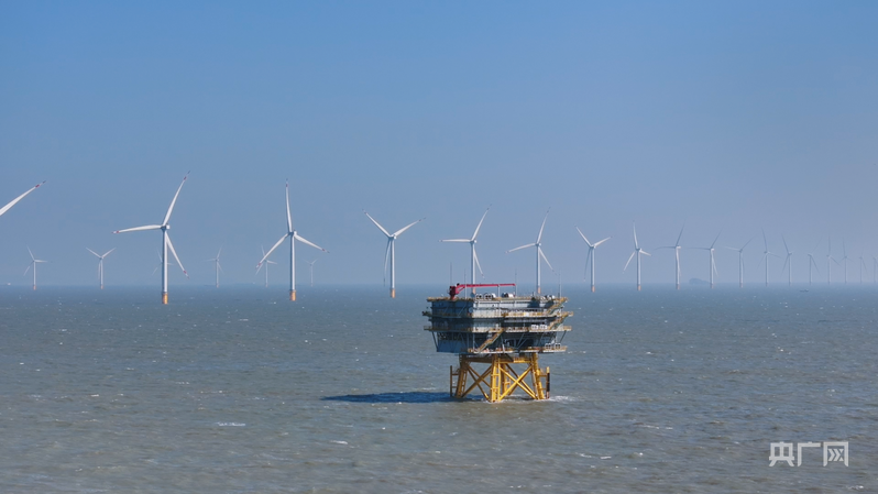 行进的海岸线｜海上风电场“种出”绿色大森林中国海上风电连续五年居全球首位