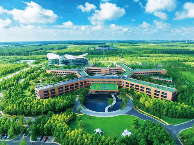 江苏东台生态新样本：湿地里的华尔街