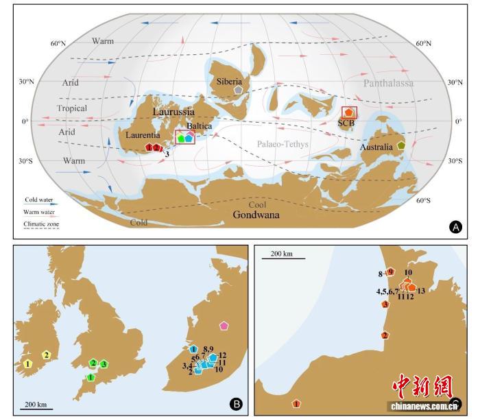 全球种子植物36亿年前如何大爆发?中国团队最新研究探寻谜底(图3)