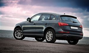 国际市场_中研普华行业研究网(图10)