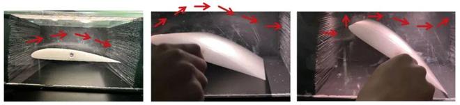 “华夏杯”论坛好风凭巧力——风力发电机主题科普实践(图3)