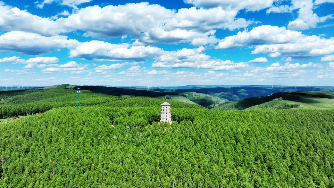 浙江宣传丨后任的“核桃”要不要种(图2)